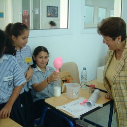 Science Fair, Boys and Girls