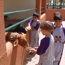 Trip to the Zoo, Grade 1