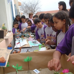 Desert Life Exhibition, Grade 4