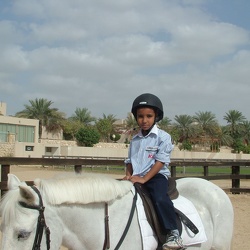 Trip to the Stable, KG2