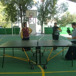 Table Tennis Tournament, Grade 12