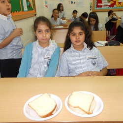 How to Prepare a Sandwich, Grade 5 Girls