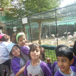 Trip to the Zoo, Grade 2