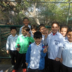 Trip to the Zoo, Grade 3 & 4