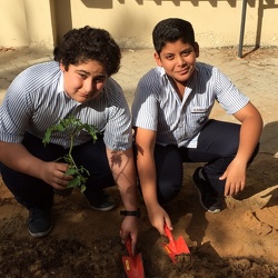 Academic Year 2014-2015