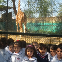 Trip to the Zoo, KG