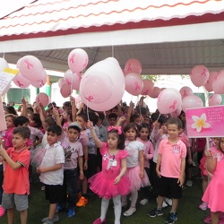 Pink Day, KG 