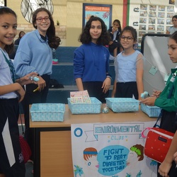 World Diabetes Day, Grade 5-12 Girls